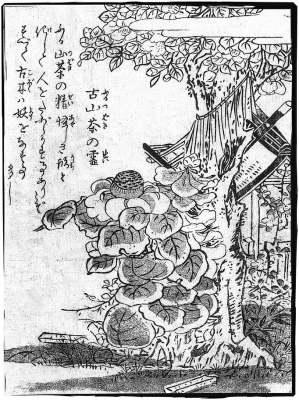 Фуруцубаки-но рэй. Иллюстрация Ториямы Сэкиэна