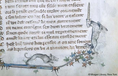 Собака преследует единорога. Рукопись Моргановской библиотеки (MS G.24, fol. 009r.)