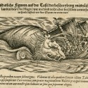 Кит на иллюстрации Конрада фон Геснера из "Истории животных"