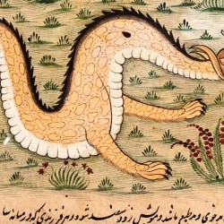 Дракон-парапед из персидского манускрипта "Чудеса света"