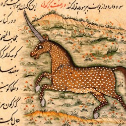 Единорог из персидского манускрипта "Чудеса света"