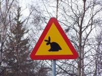 Шуточный дорожный знак рядом с музеем сквадера в шведском Сундсвалле предупреждает о сквадерах на дороге.
