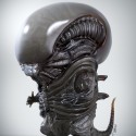 Маленький ксеноморф. 3D модель по концепту Бобби Чу