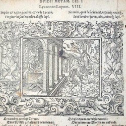 Гравюра, изображающая изгнание Ликаона. Страница из издания "Метаморфоз" Овидия, 1563 год