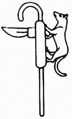 Изображение богини Мафдет на оружии. Прорисовка традиционного изображения