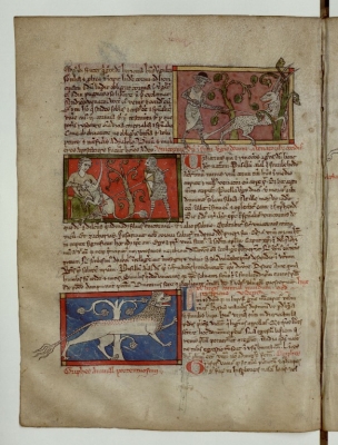 Анталоп. Единорог. Рысь. Рукопись Французской национальной библиотеки (Latin 3630, fol.76v.)