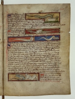 Саламандра заползает в ванну с водой. Ящерица. Рукопись Французской национальной библиотеки (Latin 3630, fol.95r.)