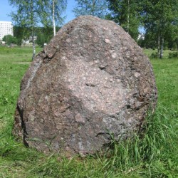 Камень "Дзед". Находился в центре Минска в языческом капище, действовавшем до 30-х годов ХХ века.
