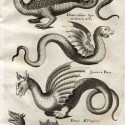 Четыре вида драконов из книги Джона Джонстона "Historiae naturalis de Insectis, de Serpentibus et Draconibus"