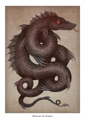 Глочестерская морская змея. Иллюстрация Владимира Станковича