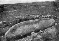Вишап в форме рыбы. Каменное изваяние из раскопок стоянки Имирзек Гегамского хребта