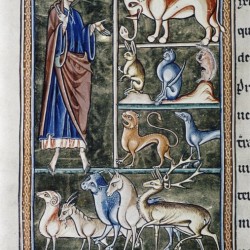Сотворение животных. Рукопись Бодлеянской библиотеки (MS Ashmole 1511, fol. 006v.)
