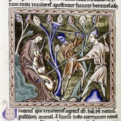 Охотники убивают единорога. Рукопись Бодлеянской библиотеки (MS Ashmole 1511, fol.014v.)