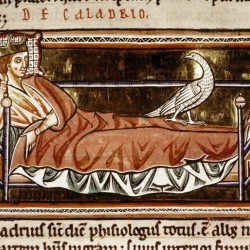 Харадр смотрит на больного. Рукопись Бодлеянской библиотеки (MS Ashmole 1511, fol.069r.)