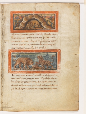 Вторая и третья природы льва. Рукопись Городской библиотеки Берна (Cod. 318, fol.8r)