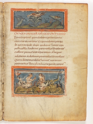 Удоды. Гадюки. Рукопись Городской библиотеки Берна (Cod. 318, fol.11r)