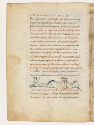 Вторая природа змеи. Рукопись Городской библиотеки Берна (Cod. 318, fol.11v)
