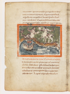 Сирена и онокентавр. Рукопись Городской библиотеки Берна (Cod. 318, fol.13v)