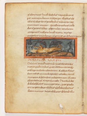 Лисица прикидывается мёртвой.  Рукопись Городской библиотеки Берна (Cod. 318, fol.14v)