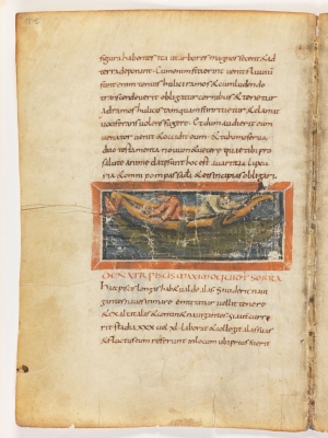 Серра. Рукопись Городской библиотеки Берна (Cod. 318, fol.18v)