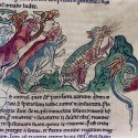 Пантера. (Рукопись Бодлеянской библиотеки. MS. Bodley 602, fol. 020r)