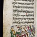 Аспид и другие змеи. (Рукопись Бодлеянской библиотеки. MS. Bodley 602, fol. 024v)