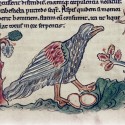 Страус (ассида). (Рукопись Бодлеянской библиотеки. MS. Bodley 602, fol. 025r)