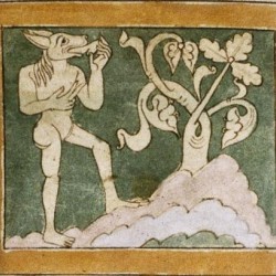 Кинопенны (кинокефалы). Рукопись Бодлеянской библиотеки (MS. Bodley 614, fol. 038v.)