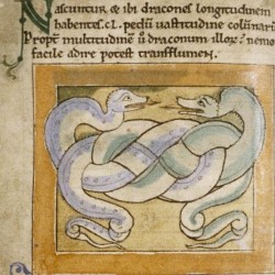 Гигантские змеи. Рукопись Бодлеянской библиотеки (MS. Bodley 614, fol. 041v.)