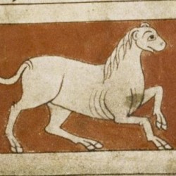 Камелеон. Рукопись Бодлеянской библиотеки (MS. Bodley 614, fol. 049r.)