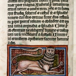 Леопард. (Рукопись Бодлеянской библиотеки. MS. Bodley 764, fol. 009v)