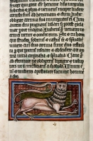 Леопард. (Рукопись Бодлеянской библиотеки. MS. Bodley 764, fol. 009v)