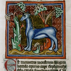 Единорог (monoceros). (Рукопись Бодлеянской библиотеки. MS. Bodley 764, fol. 022r)