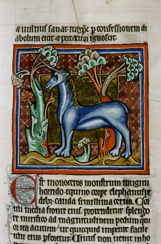 Bodl.764_fol022r.preview.jpg