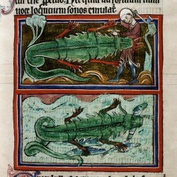 Крокодил. (Рукопись Бодлеянской библиотеки. MS. Bodley 764, fol. 024r)