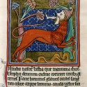 Мантикора. (Рукопись Бодлеянской библиотеки. MS. Bodley 764, fol. 025r)
