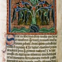 Казарки, свисающие с дерева. (Рукопись Бодлеянской библиотеки. MS. Bodley 764, fol. 058v)