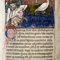 Харадр смотрит на больного. (Рукопись Бодлеянской библиотеки. MS. Bodley 764, fol. 063v)