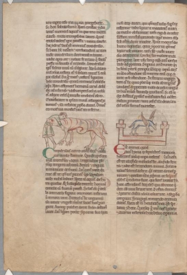 Крокодил поедает человека. Гиена на могиле. Рукопись библиотеки Паркера (CCC, Ms.22, fol.162v.)