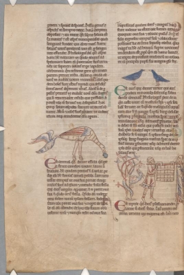 Ассида, голуби, саламандра. Рукопись библиотеки Паркера (CCC, Ms.22, fol.168v.)