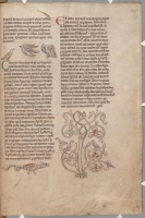 Голуби. Дракон у дерева перидексион.  Рукопись библиотеки Паркера (CCC, Ms.22, fol.169r.)