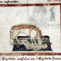 Гиена. Рукопись Бодлеянской библиотеки (MS Douce 151, fol.013v.)