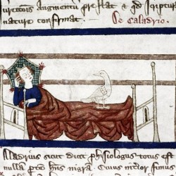 Харадр смотрит на больного. Рукопись Бодлеянской библиотеки (MS Douce 151, fol.063r.)