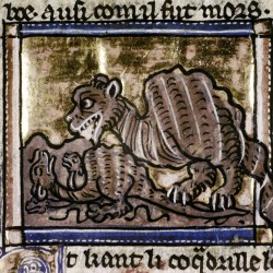 Гидрус приманивает крокодила, прикинувшись спящим. Рукопись Бодлеянской библиотеки MS Douce 308, fol.099v.