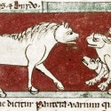 Пантера. Рукопись Бодлеянской библиотеки (MS Douce 88, fol.006v.)