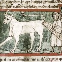 Бонакон. Рукопись Бодлеянской библиотеки (MS Douce 88, fol.010r.)