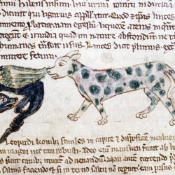 Пантера и дракон. Рукопись Бодлеянской библиотеки (MS Douce 88, fol.084v.)