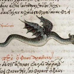 Дракон-амфиптер. Иллюстрация из средневекового манускрипта