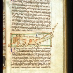 Крокодил поедает человека (Рукопись Британской библиотеки MS Harley 3244, fol. 43r)