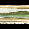 Якул (Рукопись Британской библиотеки MS Harley 3244, fol. 62v)